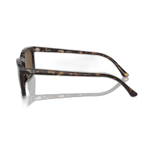 Rb4435 Sunglasses