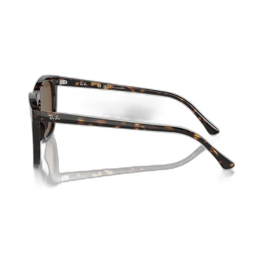 Full Frame Sunglasses