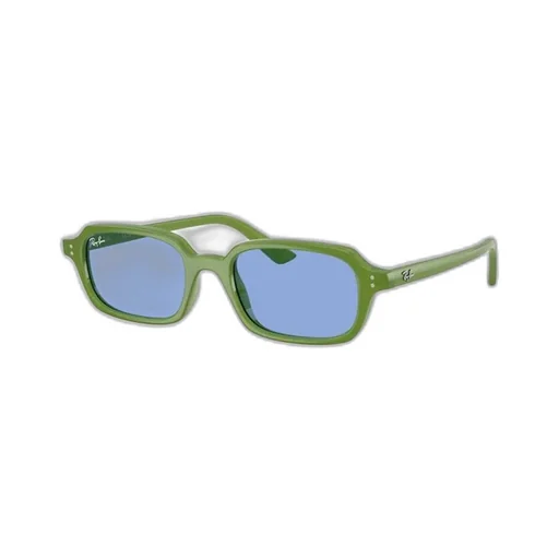 4455 Sunglasses
