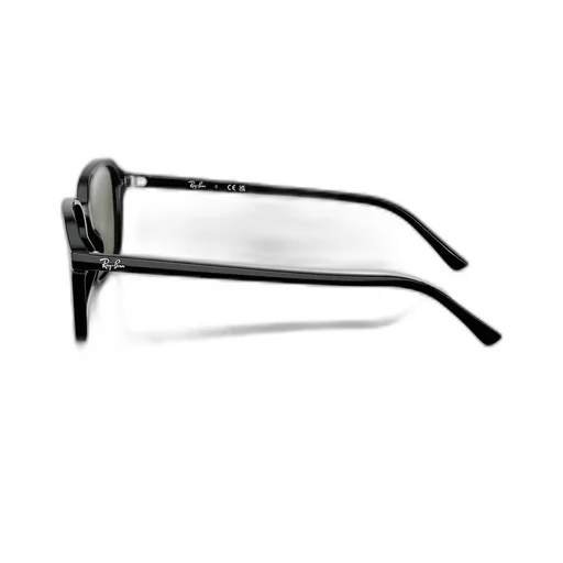Raimond Sunglasses