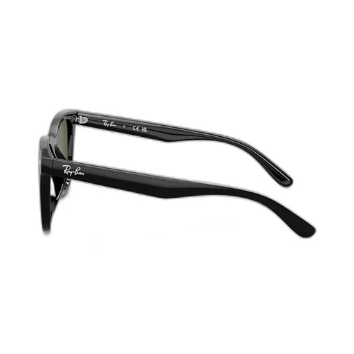 Full Frame Sunglasses