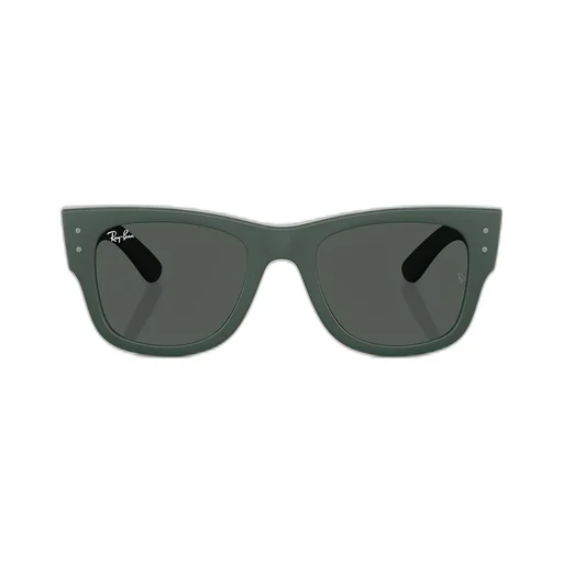 Rb4840S Sunglasses