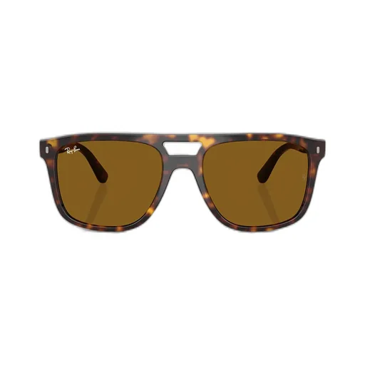 Rb2213 Sunglasses