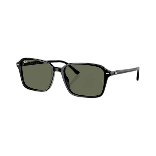 Raimond Sunglasses