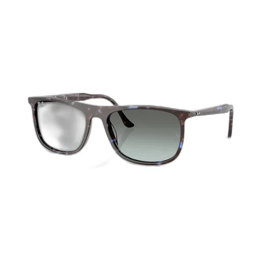 Rb2216 Sunglasses