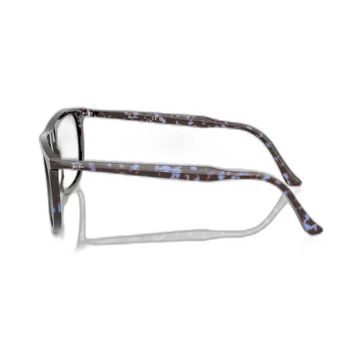 Rb2216 Sunglasses