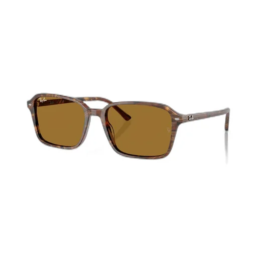 Raimond Sunglasses