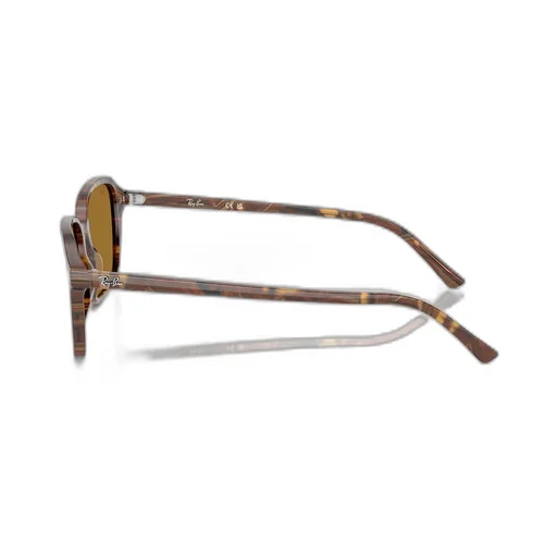 Raimond Sunglasses