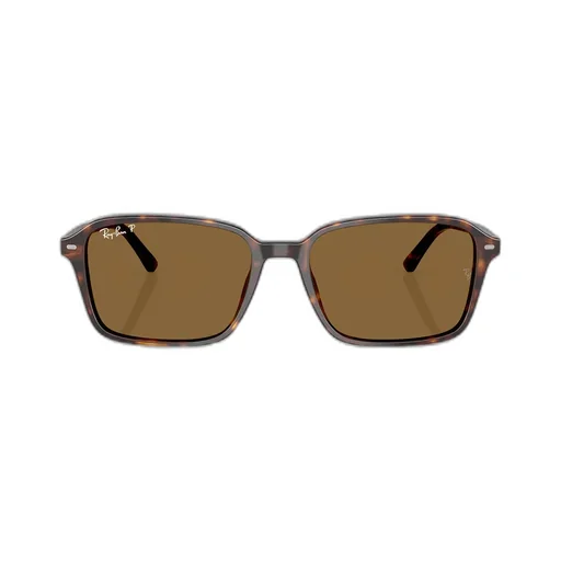 Raimond Sunglasses