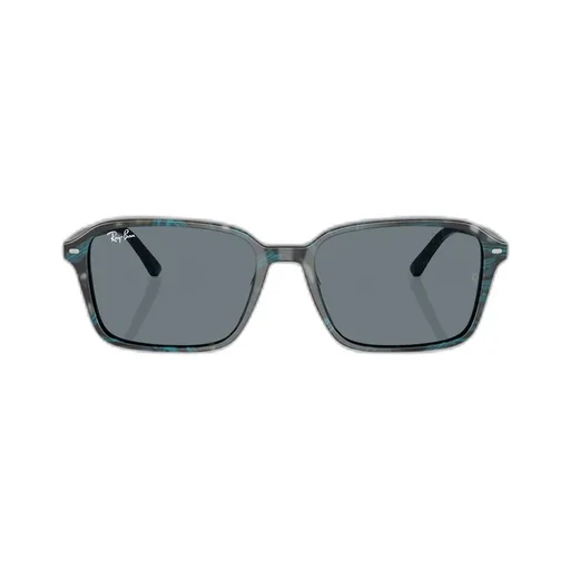 Rb2231 Sunglasses