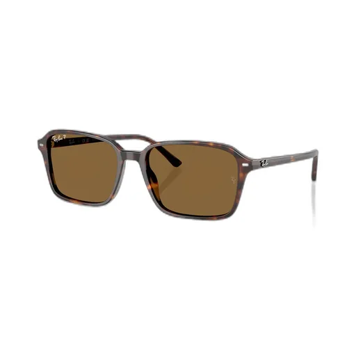 Raimond Sunglasses