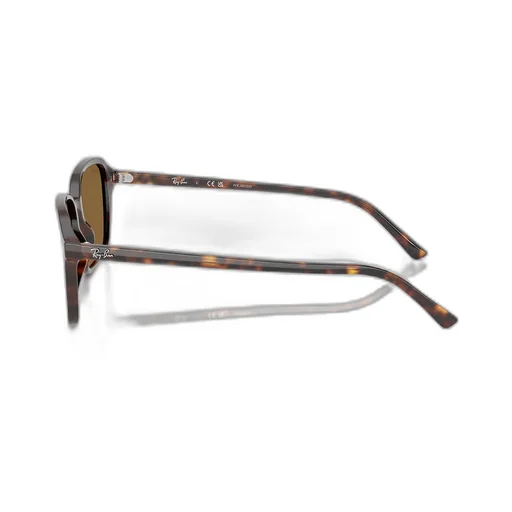 Raimond Sunglasses