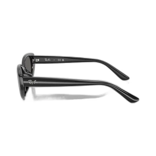 Rb4457D Sunglasses
