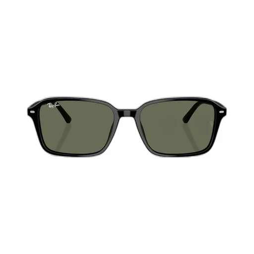 Raimond Sunglasses