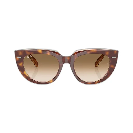 Full Frame Sunglasses