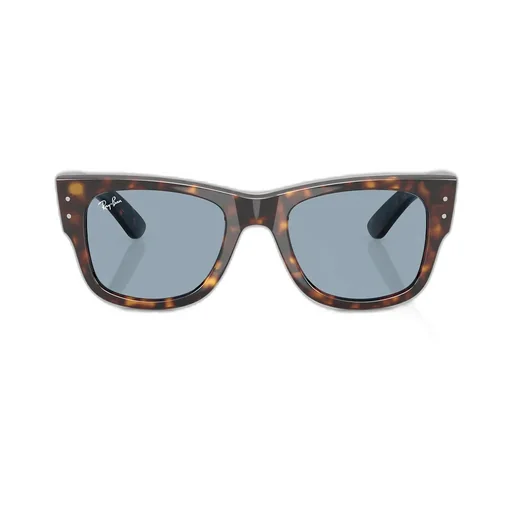 Mega Wayfarer Sunglasses