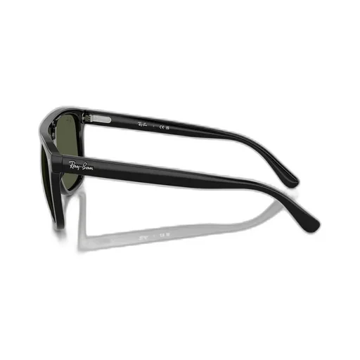 Rb2213 Sunglasses