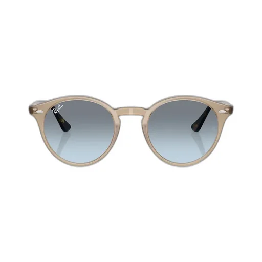 Rb2180 Sunglasses