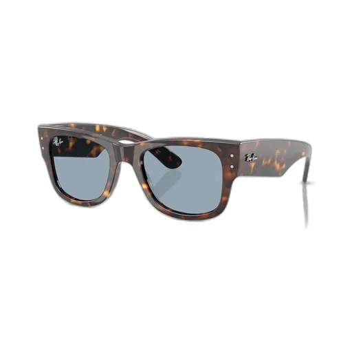 Mega Wayfarer Sunglasses