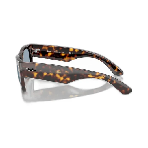 Mega Wayfarer Sunglasses