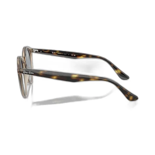 Rb2180 Sunglasses