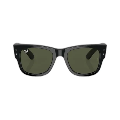 Mega Wayfarer Sunglasses