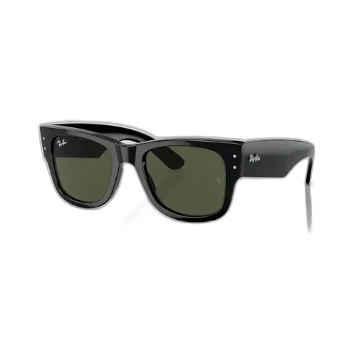 Mega Wayfarer Sunglasses