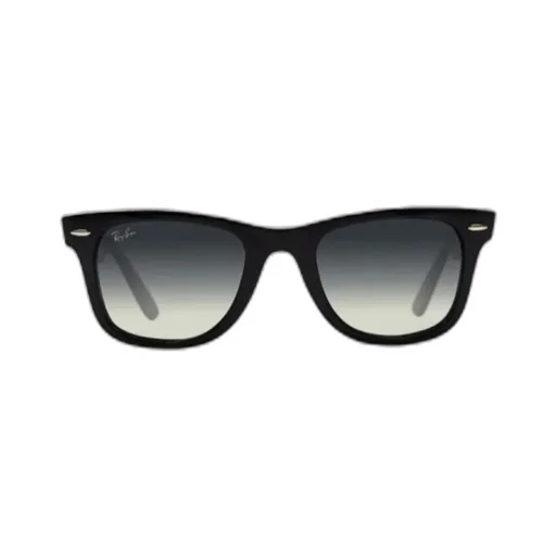 Wayfarer Sunglasses