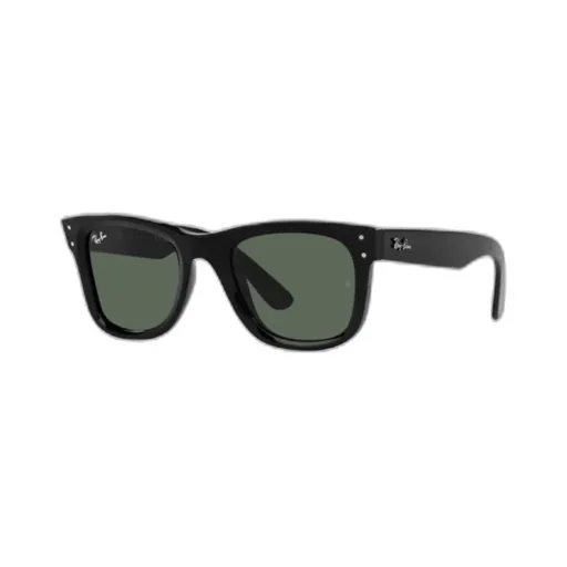 Wayfarer Reverse Sunglasses