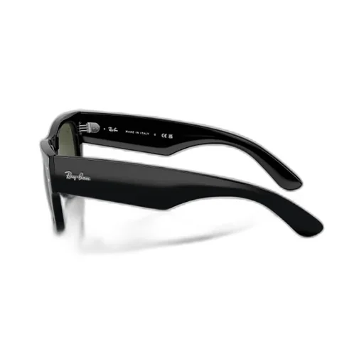 Mega Wayfarer Sunglasses