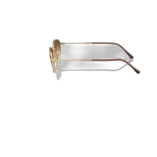 Full Frame Sunglasses