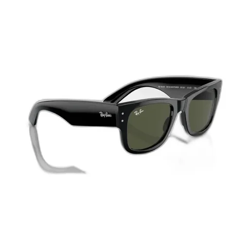Mega Wayfarer Sunglasses