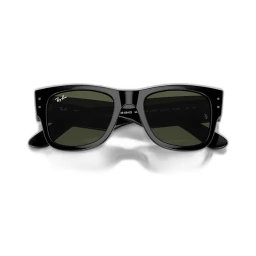 Mega Wayfarer Sunglasses