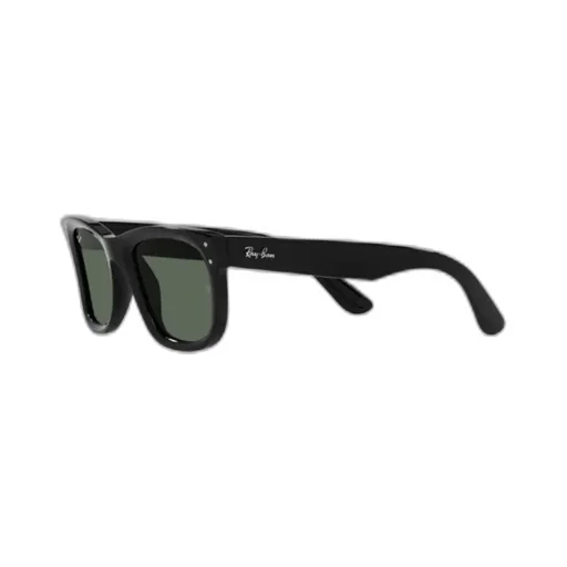Wayfarer Reverse Sunglasses