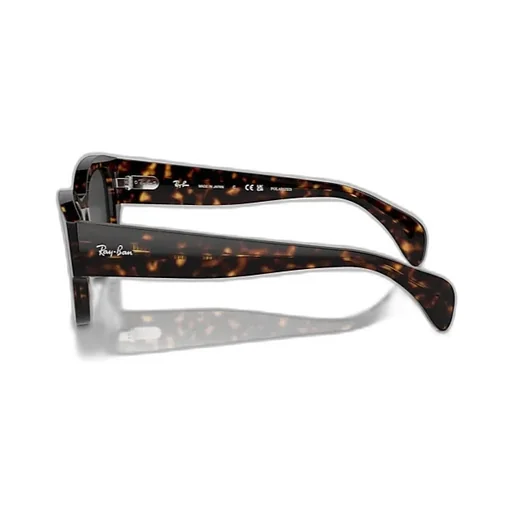 Full-Frame Sunglasses