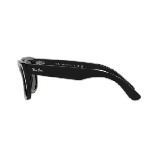 Wayfarer Reverse Sunglasses