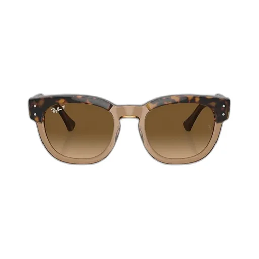 Full Frame Sunglasses