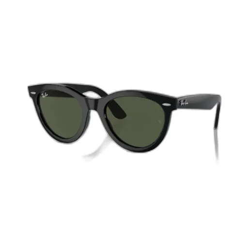 Wayfarer Round-Frame Sunglasses