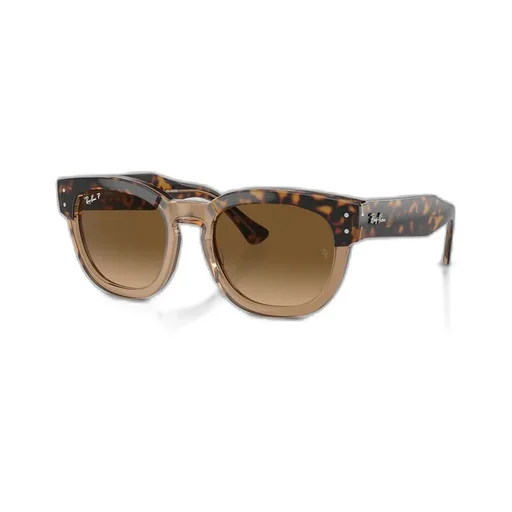 Full Frame Sunglasses