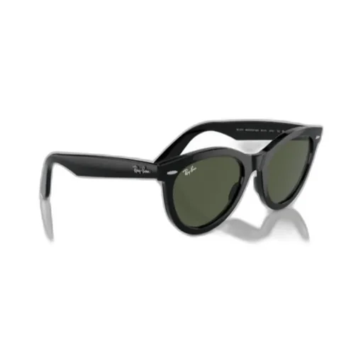 Wayfarer Round-Frame Sunglasses
