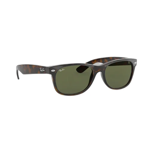 New Wayfarer Sunglasses