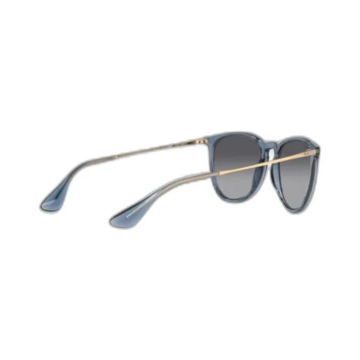 Erika Classic Sunglasses