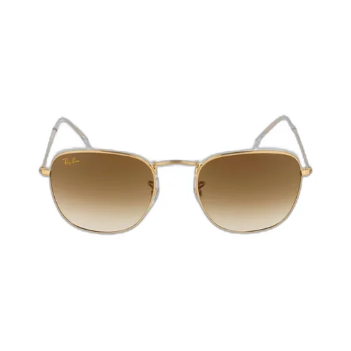 Frank Legend Rb3857 Sunglasses