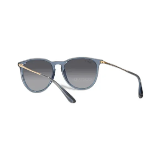Erika Classic Sunglasses