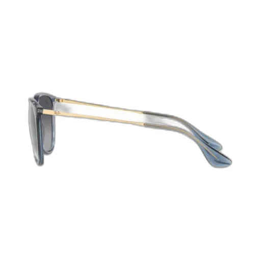 Erika Classic Sunglasses