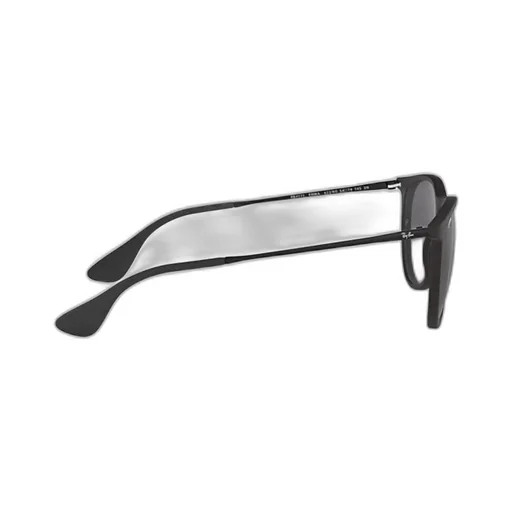 Erika Classic Sunglasses