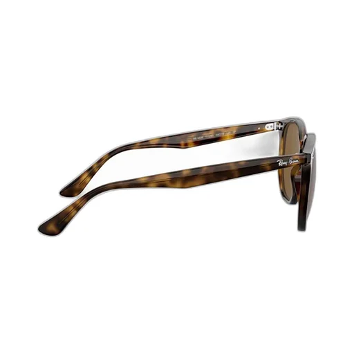 Rb4306 Hexagonal Frame Polarised Sunglasses