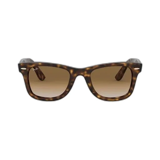 Wayfarer Ease Sunglasses