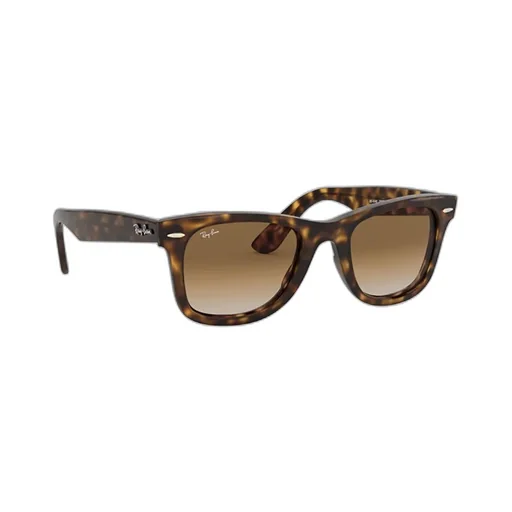 Wayfarer Ease Sunglasses