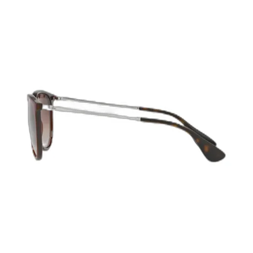 Erika Classic Sunglasses